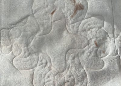 Janet Melrose Dust Settles 47x30cm Imprint on Paper