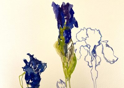 Iris May 2025 30x40cm