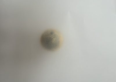 Memory Bank 2